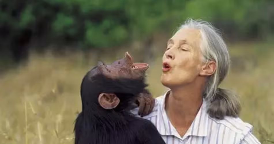 Jane Goodall