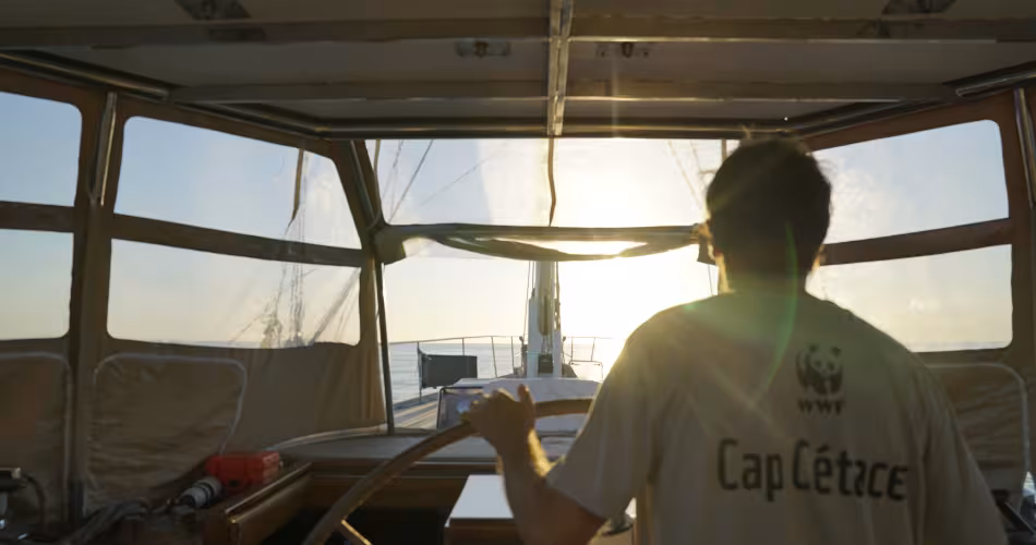 Expédition Cap Cétacés du WWF France en Méditerranée