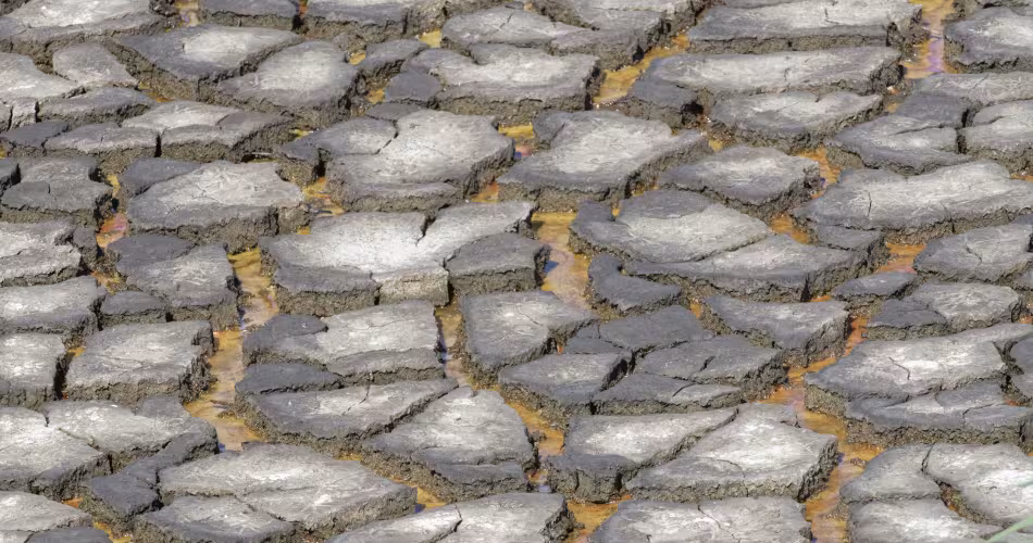 Sol craquelé d’une lagune asséchée en période de sécheresse, Royaume-Uni
