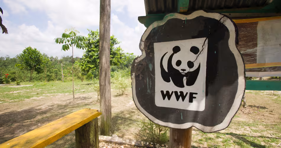 Panneau avec logo WWF, Parc national de Tesso Nilo (Indonésie)