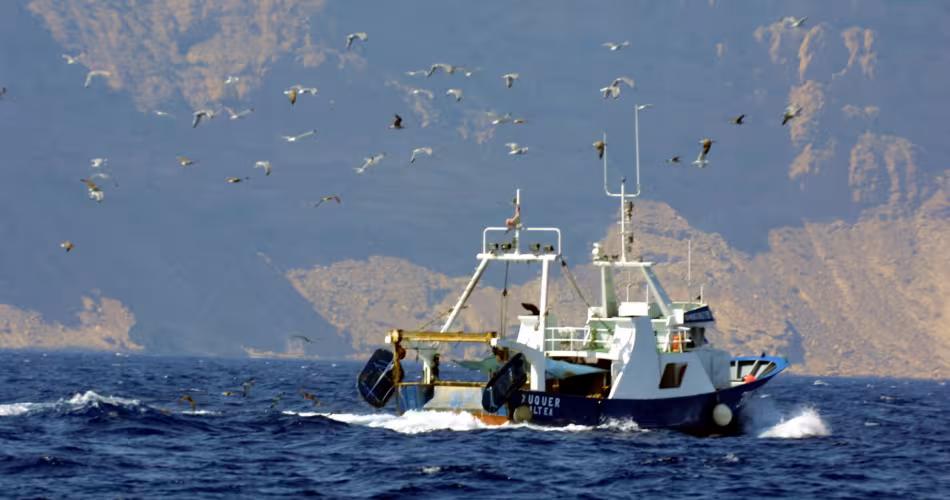En Méditerranée 80% des stocks de poissons évalués sont surexploités.