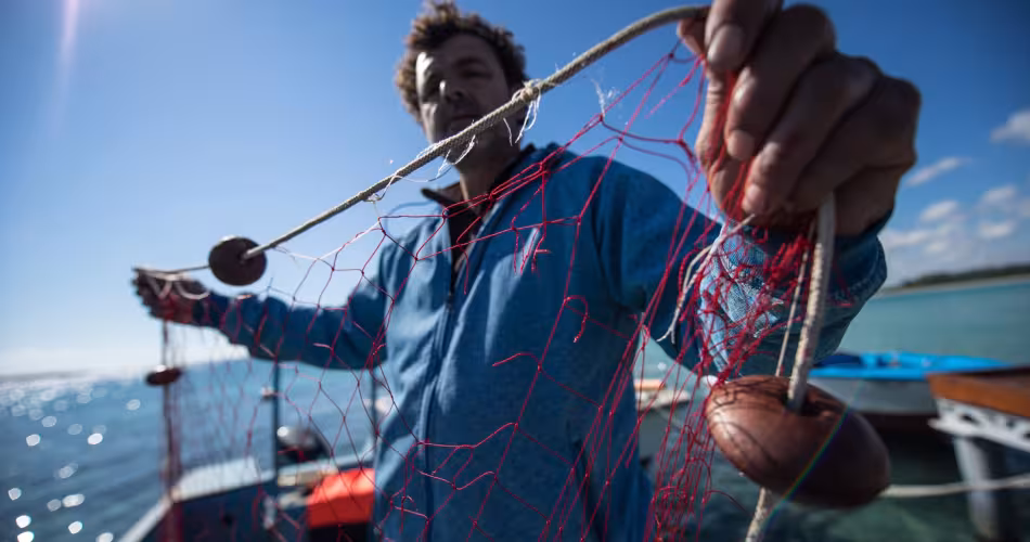La pêche artisanale est majoritairement polyvalente : elle fait appel à des techniques de pêche qui ont un faible impact sur l'écosystème marin.