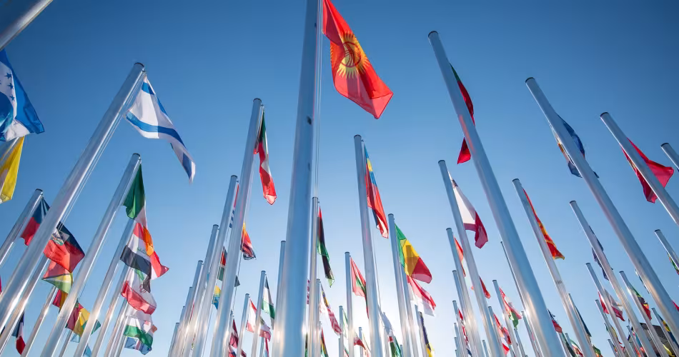 Des drapeaux de nombreux pays à la COP 25, Madrid, Espagne