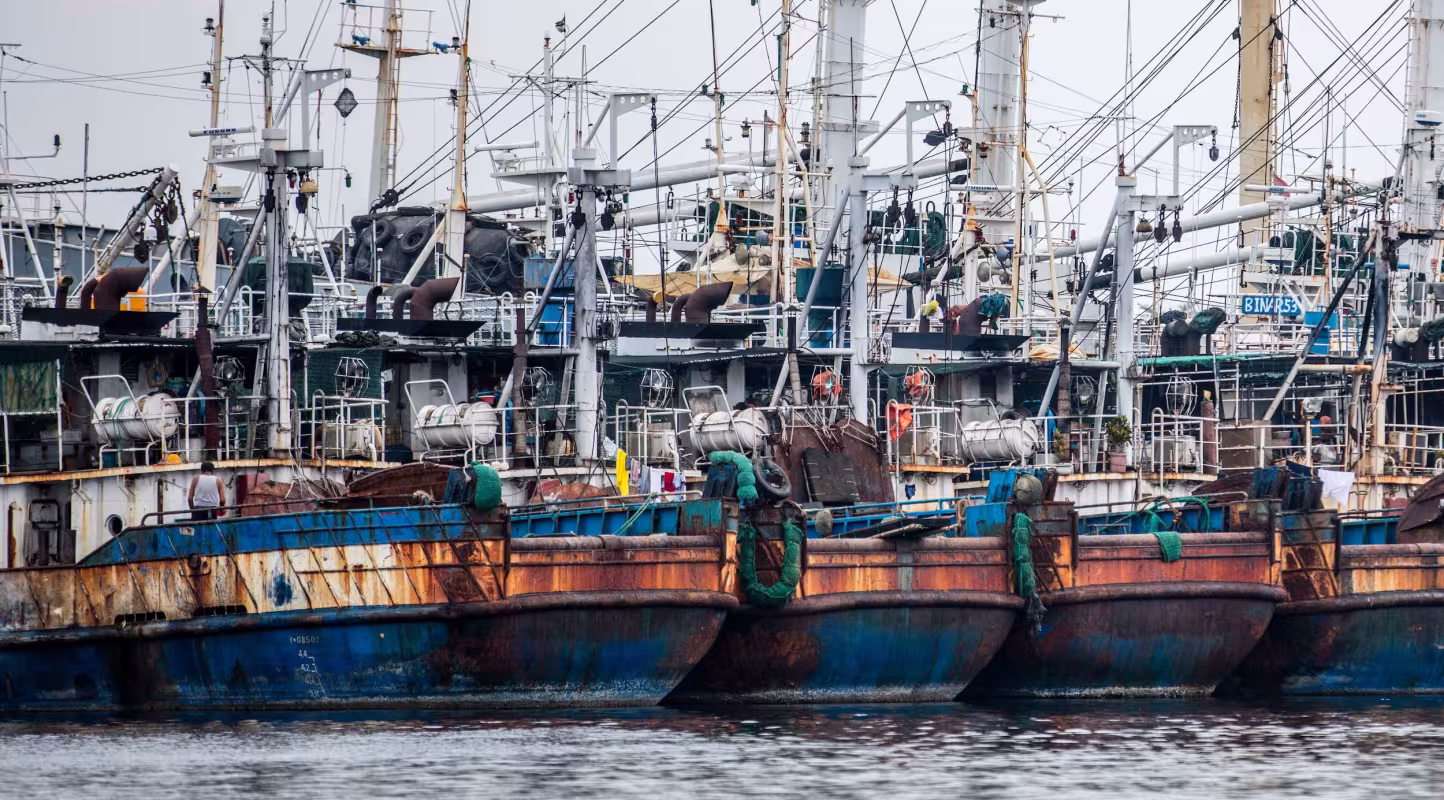 Deux cents bateaux de pêche ont été immobilisés en raison d'activités de pêche illicite, non déclarée et non réglementée (INN), et la licence de l'entreprise a été suspendue. 