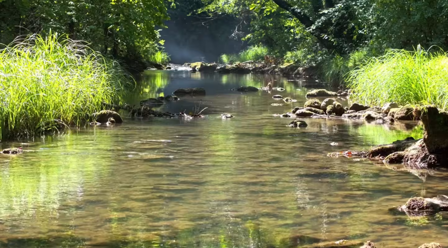 Eau douce - Image vidéo - extrait