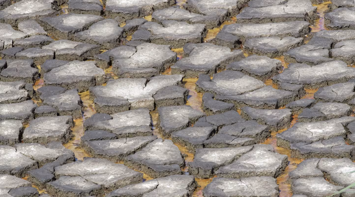 Sol craquelé d’une lagune asséchée en période de sécheresse, Royaume-Uni