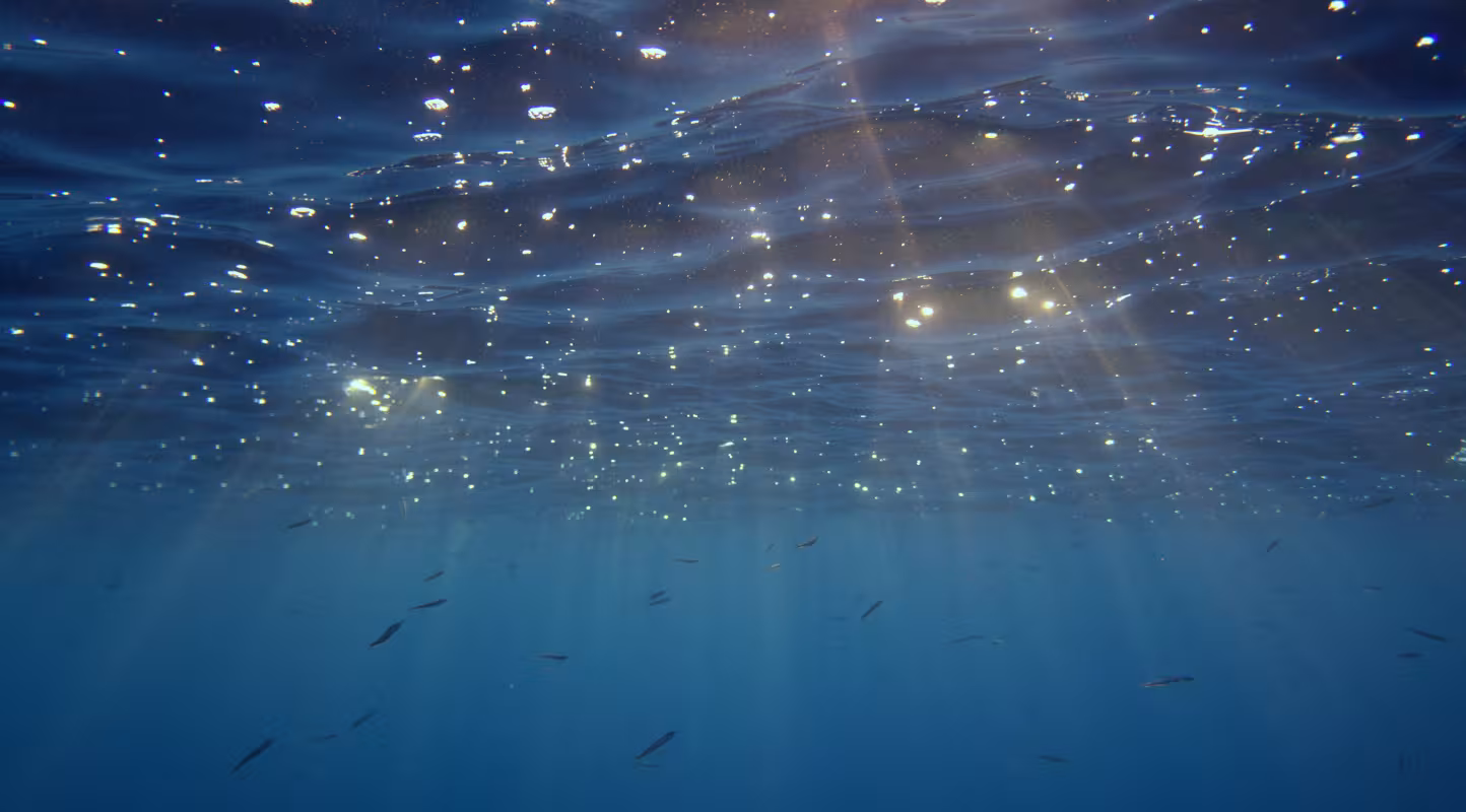 Surface de la mer Méditerranée vue sous l’eau