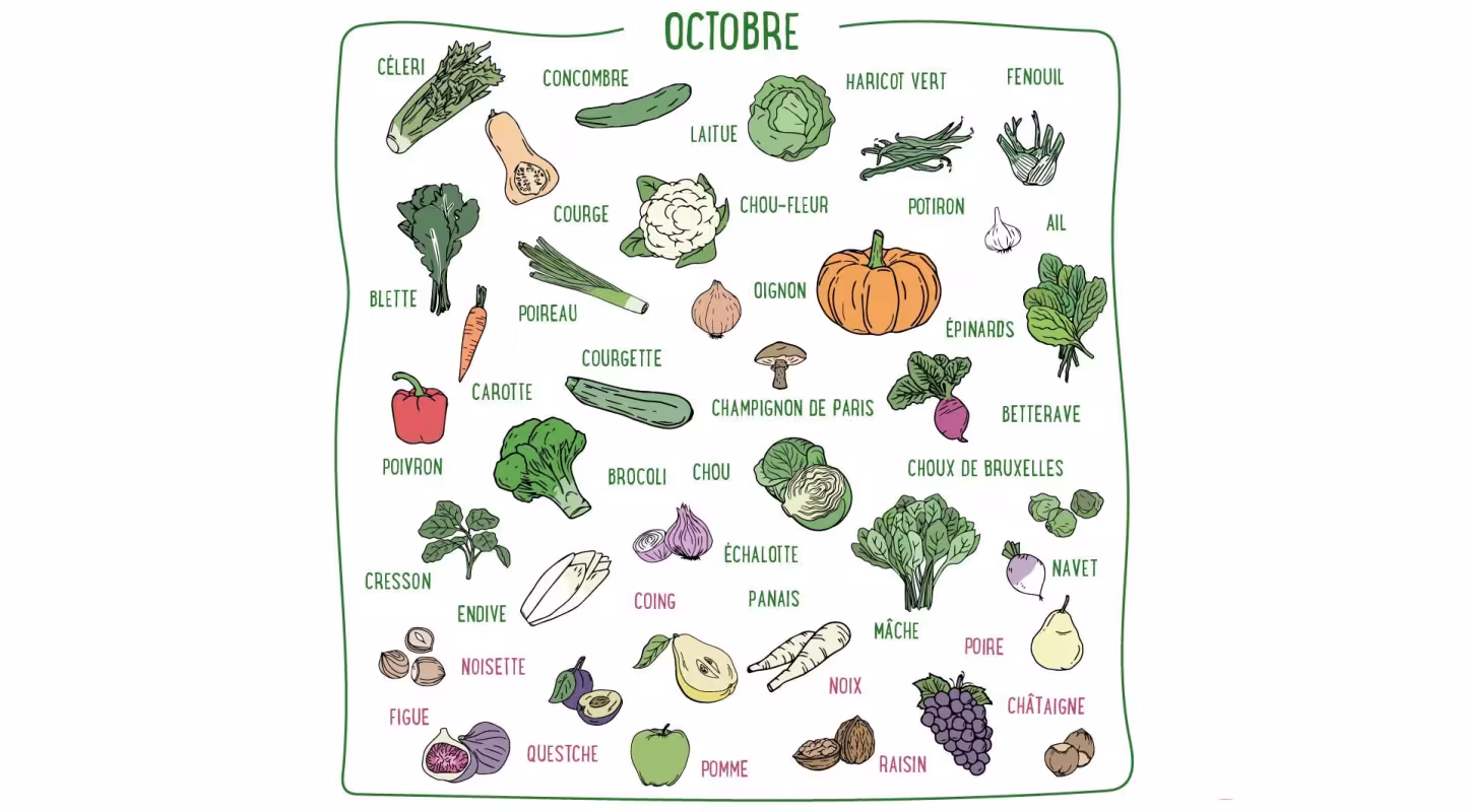 Nos recettes d'Octobre