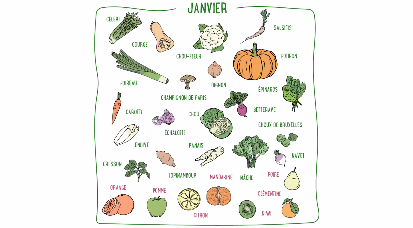 Nos recettes de Janvier