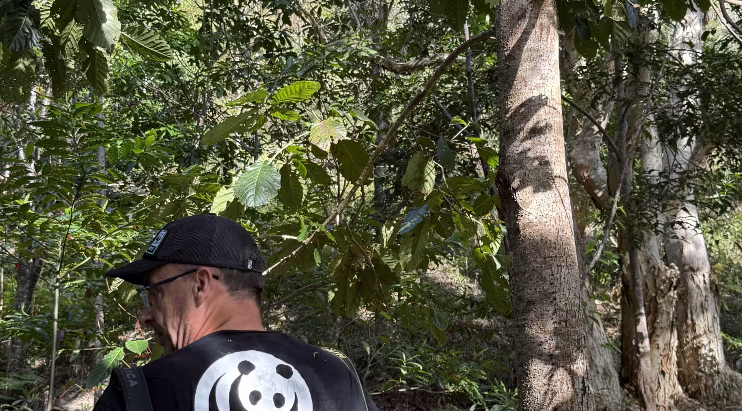 La tribu d’Azareu sauve sa forêt 