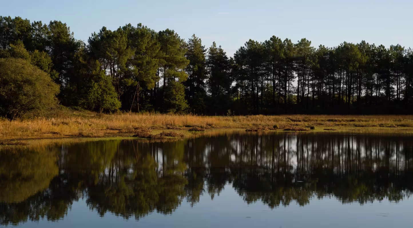 Réserve naturelle de Brenne