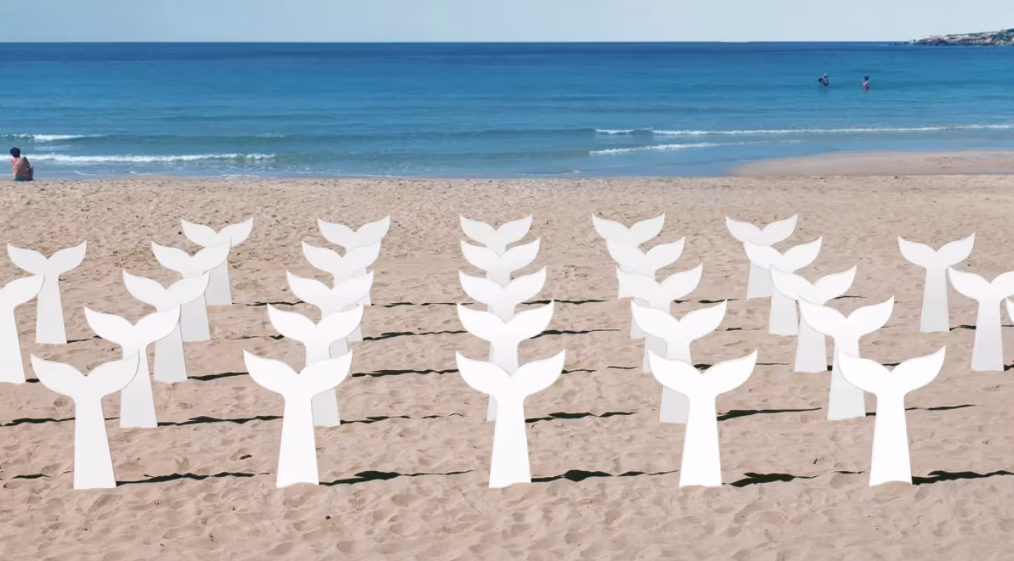 Le WWF lance une grande campagne pour sauver les baleines de Méditerranée et appelle à ralentir la vitesse du trafic maritime