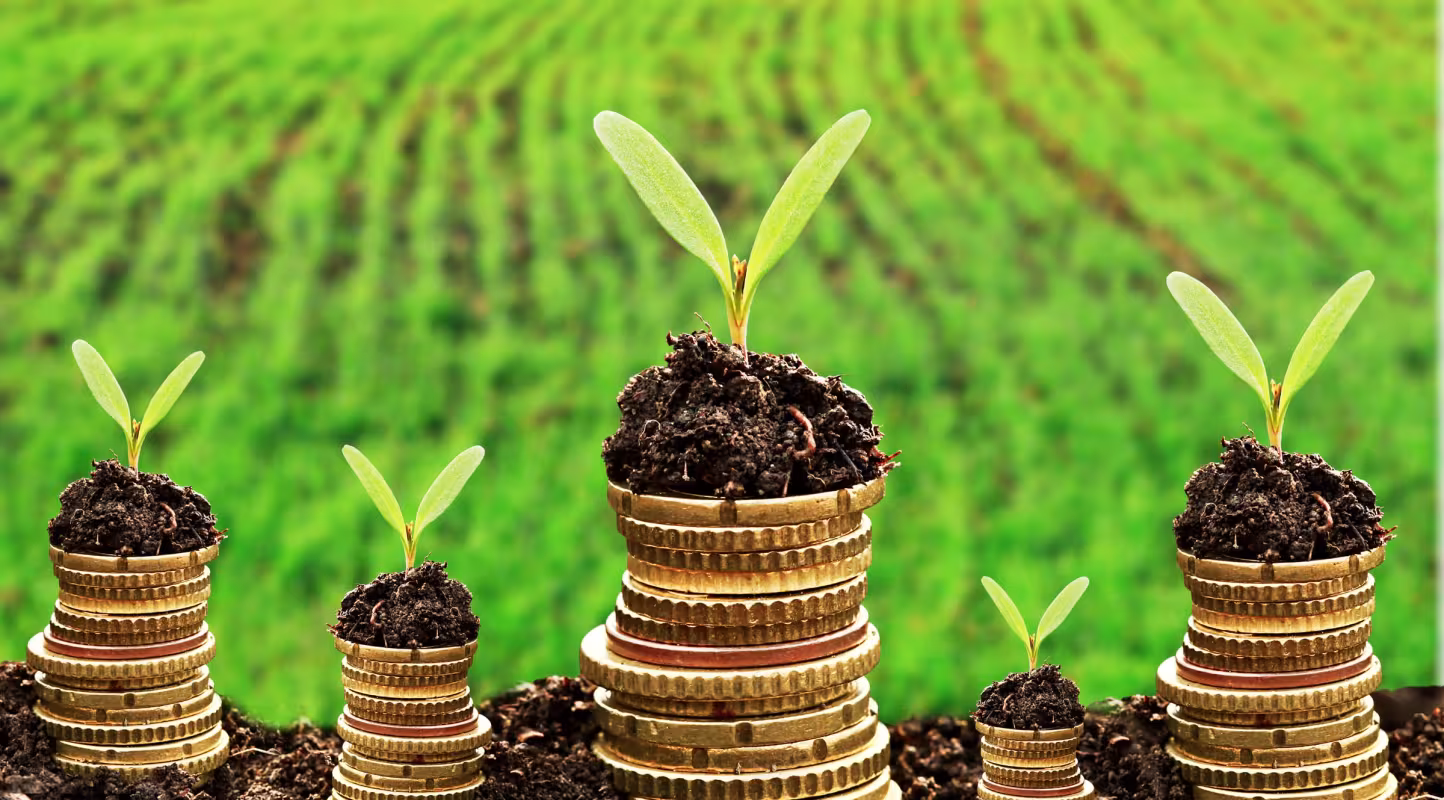 Green bonds : pour une transition écologique plus rapide
