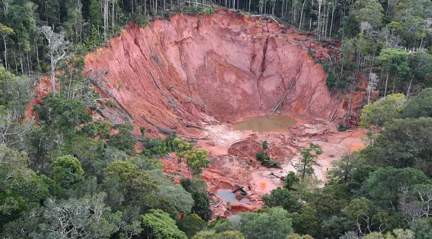 Le WWF France appelle à une coopération transfrontalière renforcée pour mettre fin à l’orpaillage illégal en Guyane