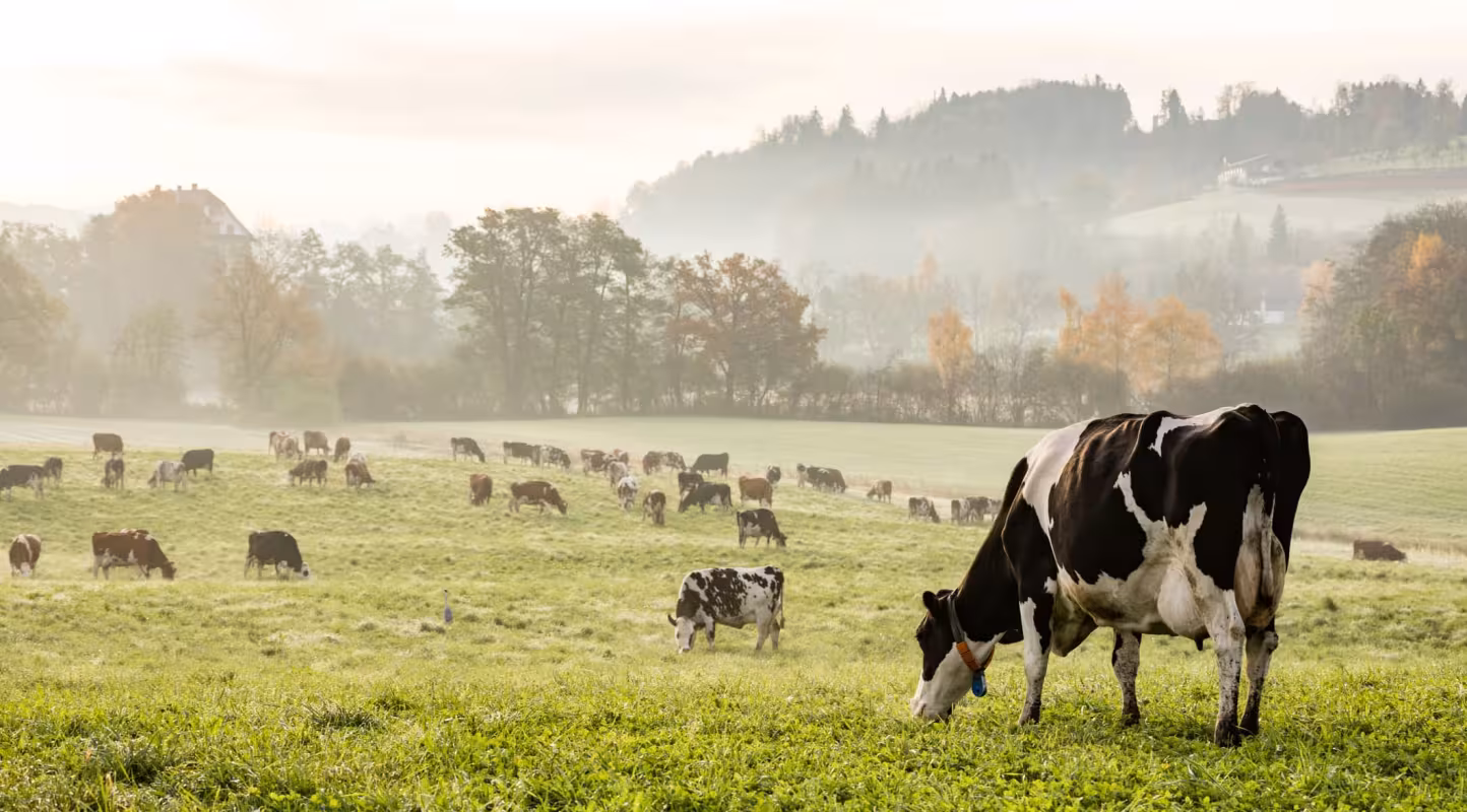 Salon International de l’Agriculture 2026 – Le WWF France se mobilise pour l’eau, les prairies et une agriculture résiliente, aux côtés des agriculteurs.  