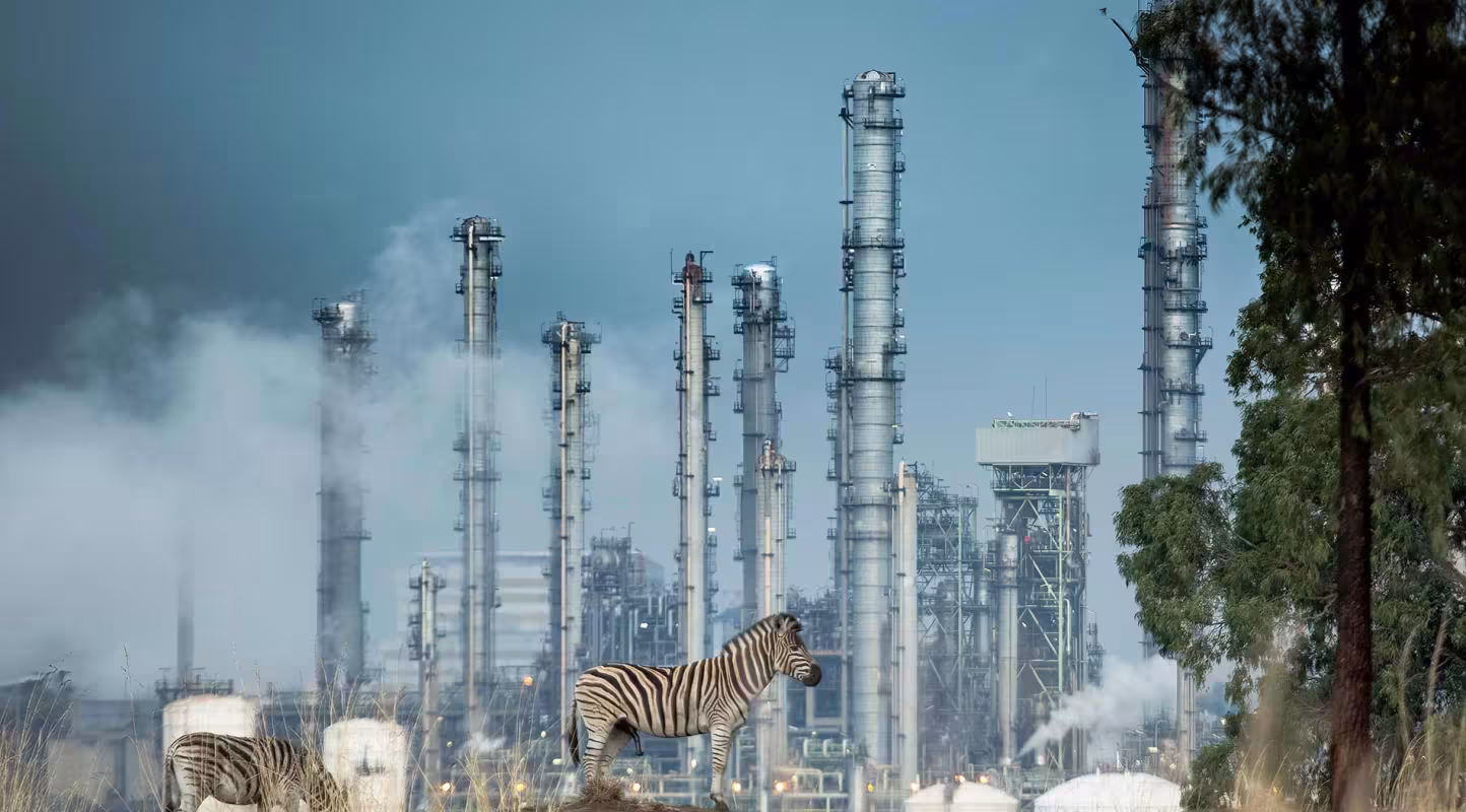COP15 : point d’étape sur le progrès des négociations