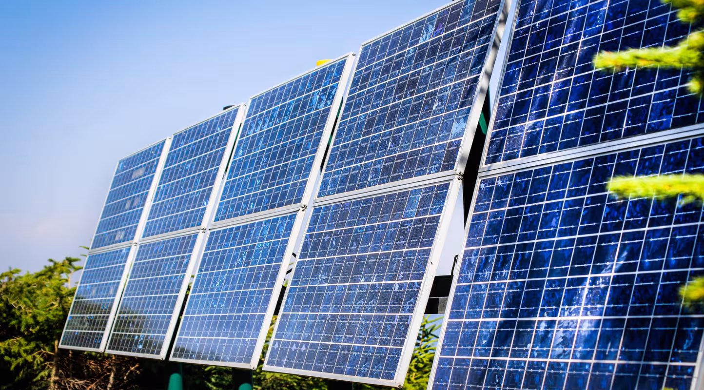 Panneaux solaires : le guide du WWF pour accélérer en protégeant la biodiversité 