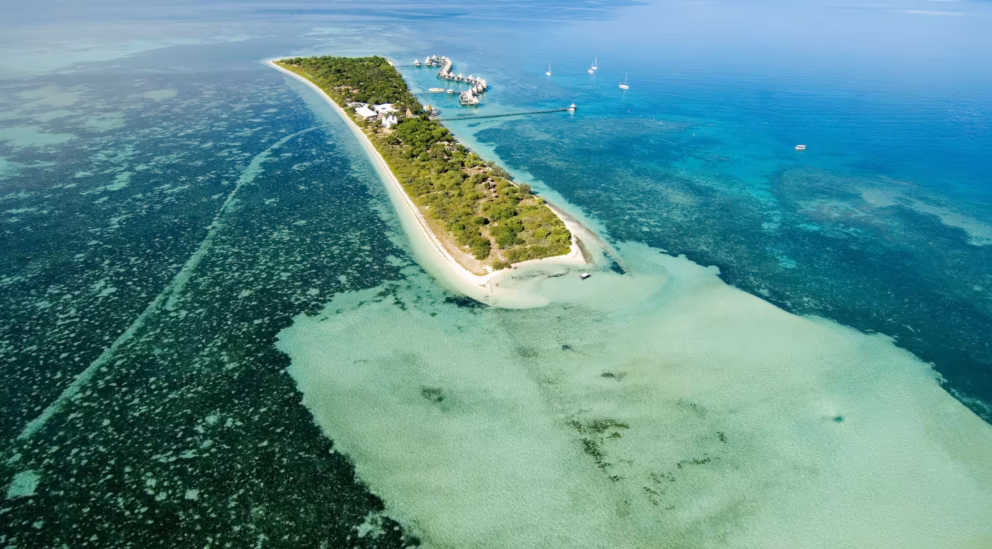 Barrière de corail en Nouvelle-Calédonie au coeur de l'AMP en mer de Corail, aire protégée de l’îlot Maitre.