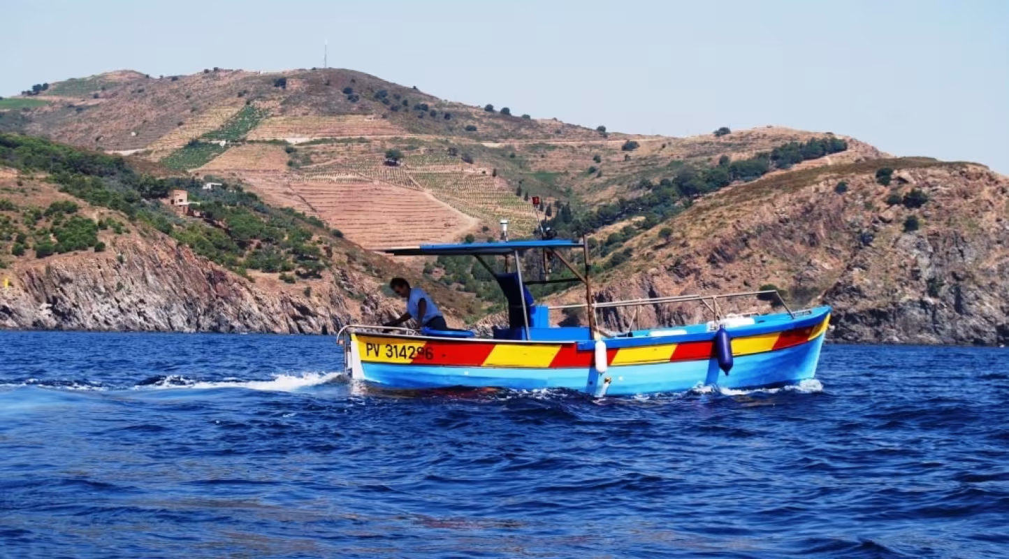 Pêcheur au sein d'une petite ferme d'aquaculture proche de Banyuls-sur-Mer, France