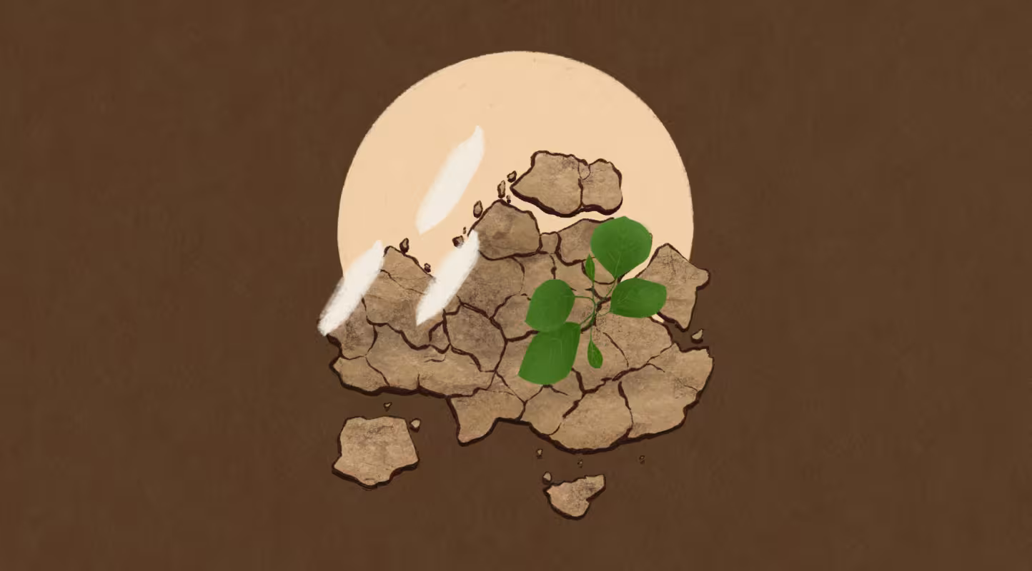 Illustration de Paulie Heart pour l'épisode 7 de la saison 2 du podcast l'Effet Panda.