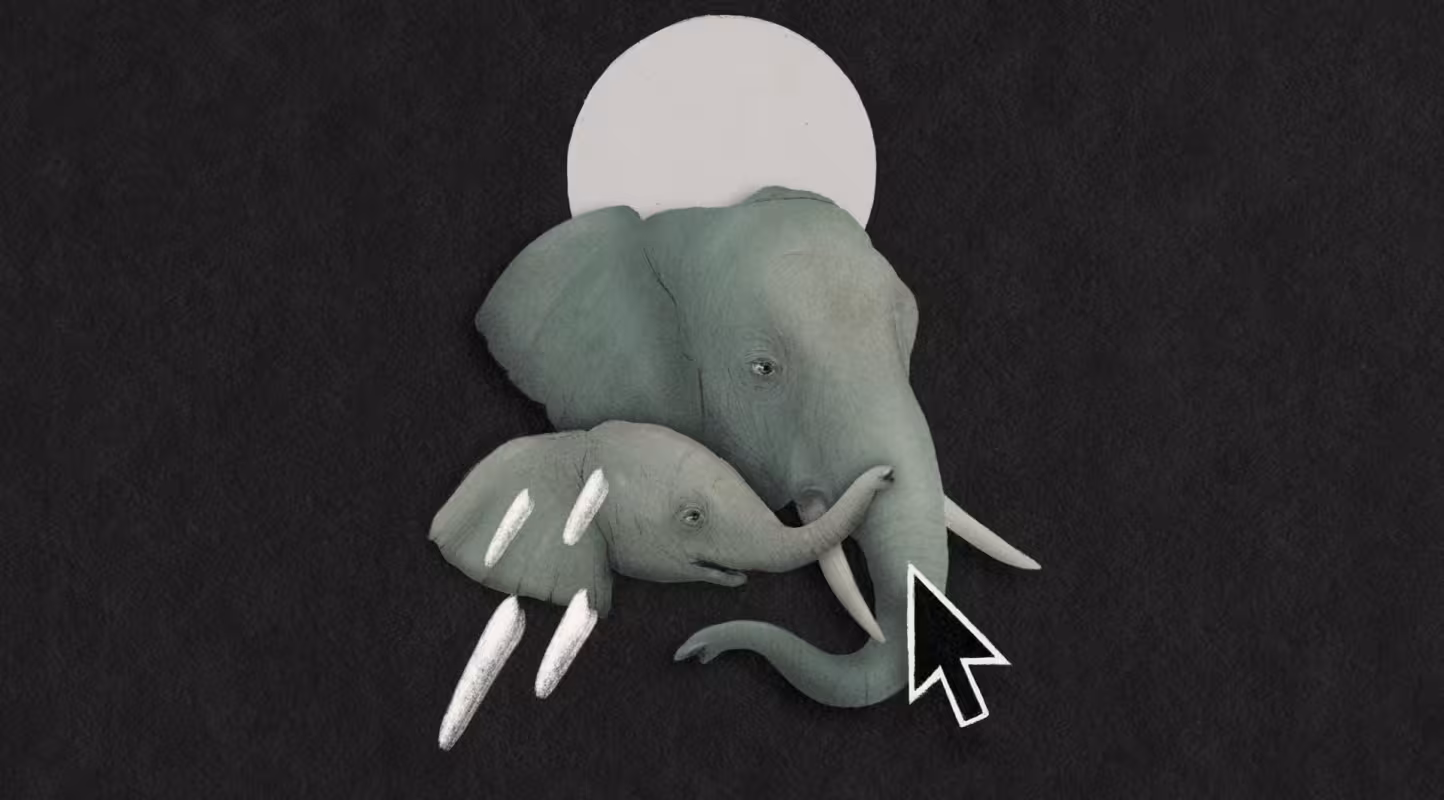 Episode 9 de la saison 2 du podcast l'Effet Panda