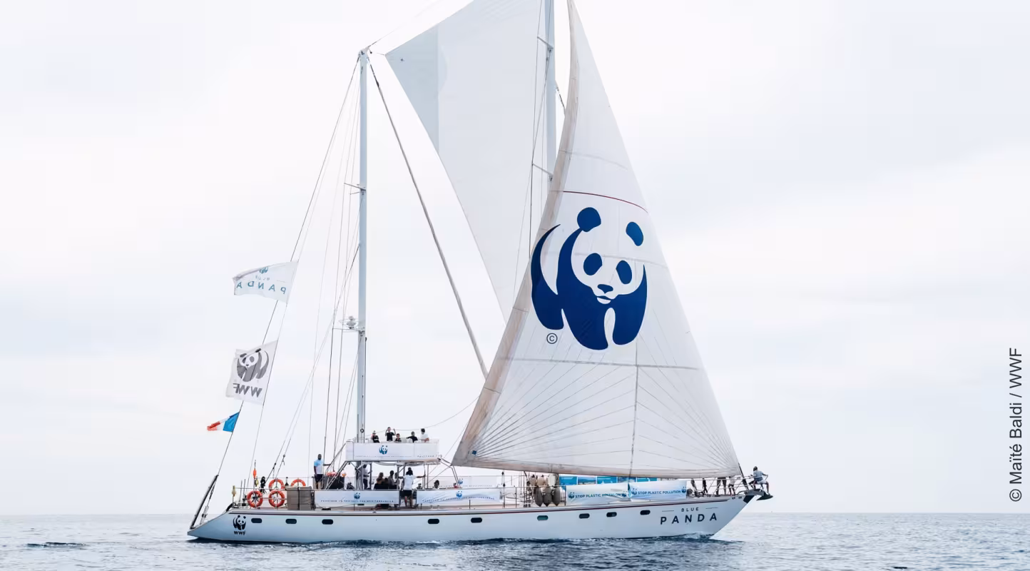 Le bateau Blue Panda sur la méditerranée