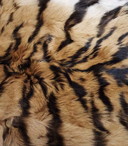 Peau de tigre (Panthera tigris altaica) saisie à l'Académie des douanes russes de Vladivostok, dans le kraï du Primorié (Russie).  Braconnage. Commerce illégal.