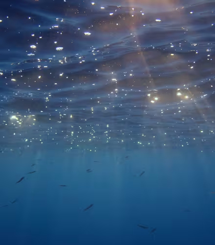 Surface de la mer Méditerranée vue sous l’eau