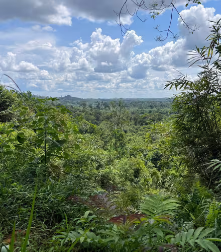 Thirty Hills forest, Sumatra, Indonesia
