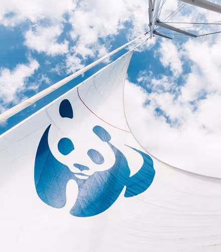 Le Blue Panda : notre voilier pour préserver la Méditerranée
